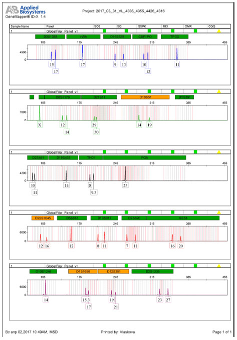 Электрофореграмма; генетический анализатор; идентификационное молекуярно-генетическое исследование